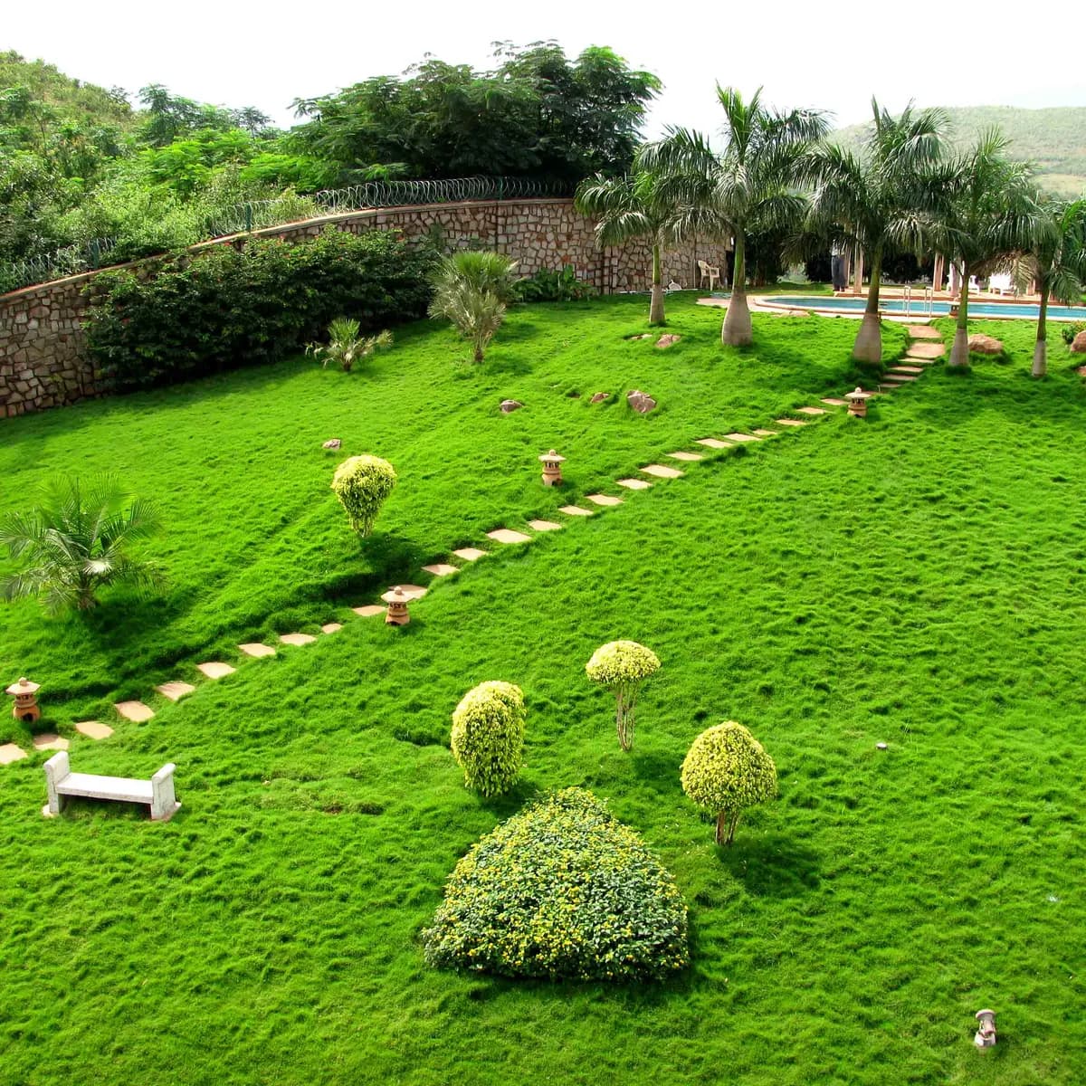 Completed lawn and landscape planting by Star Gardens