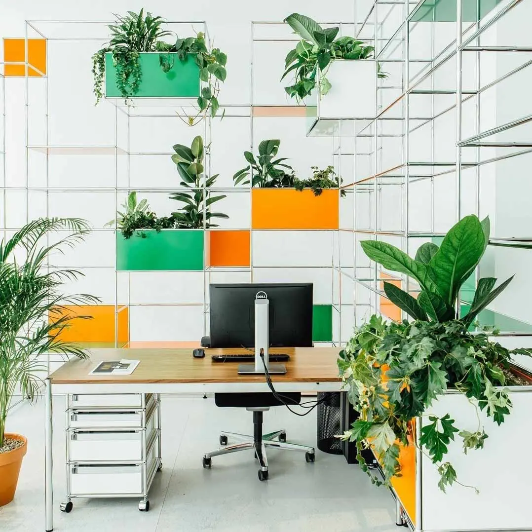 Office workspace styled with indoor plants