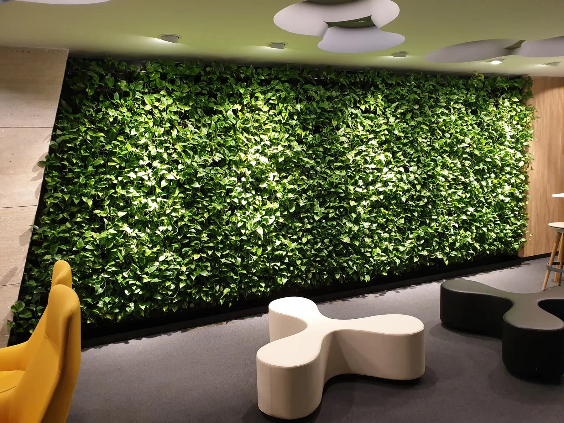 Indoor vertical garden installed by Star Gardens