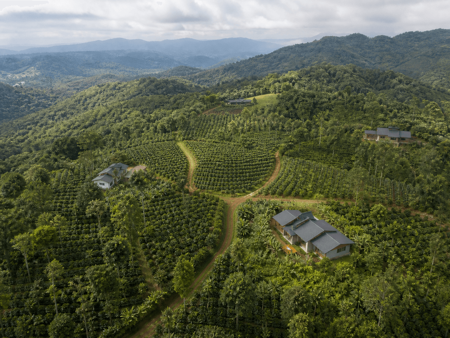 Star Coffee County retreat view in Madikeri